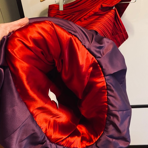 Festive Red & Purple A.B.S Dress For Holiday Cards - Picture 15 of 16